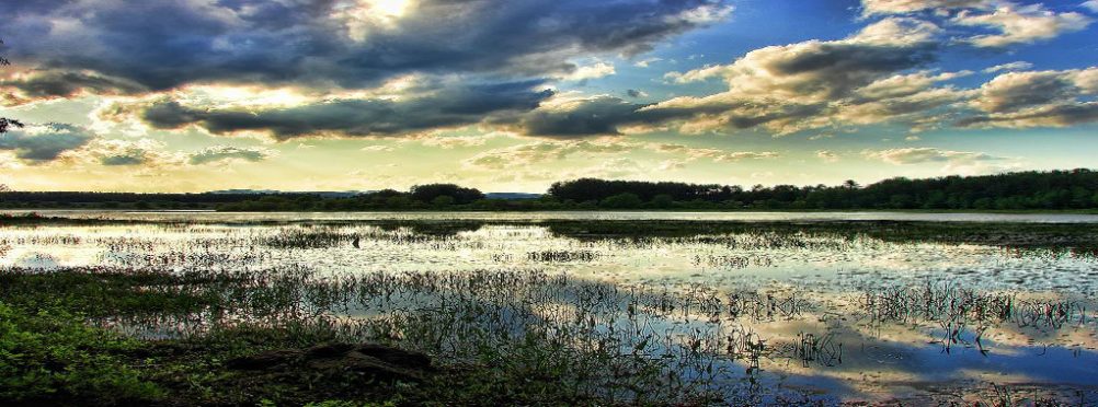 New Hampshire